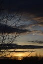 Dark dramatic sky on the sunrise. Branches silhouettes on the background of cloudy sky in the beginning of dawn