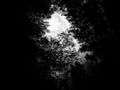 Dark & dramatic storm clouds. Black and white, so contrast and grainy Royalty Free Stock Photo