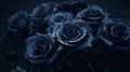 Dark And Dreamy: A Cinematic Portrait Of Black Roses And Raindrops