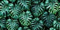 Dark emerald green tropical leaf pattern for design projects. Generative AI Royalty Free Stock Photo