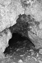 Dark entrance to a cave in the forest, black and white photo.