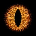Dark evil animal eye iris macro illustration Royalty Free Stock Photo
