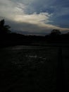 Evining with dark clouds and paddy field Royalty Free Stock Photo