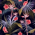 Dark Exotic Retro tropical wild forest with palm trees ,flowers,leaves,foliage seamless pattern in vector suits for Royalty Free Stock Photo