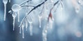 Dark Fantasy Frost Icicles on Birch Tree