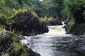 River Teifi, Llandysul Royalty Free Stock Photo