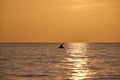 Dark figure of sportsman rowing alone on his kayak boat on sea water at sunset. Active extreme sports concept Royalty Free Stock Photo