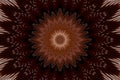 Dark flower pattern floral kaleidoscope. darkness black