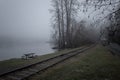 Dark Foggy and Misty Morning at Shawnigan Lake Brish Columbia