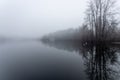 Dark Foggy and Misty Morning at Shawnigan Lake Brish Columbia Royalty Free Stock Photo