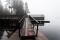 Dark Foggy and Misty Morning at Shawnigan Lake Brish Columbia Royalty Free Stock Photo