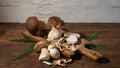 Forest mushrooms Boletus edulis (king bolete) penny bun cep porcini mushroom and fern Royalty Free Stock Photo