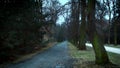 Dark forest autumn cold morning pathway road Royalty Free Stock Photo