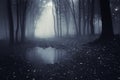 Dark forest with blue fog and lake Royalty Free Stock Photo
