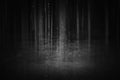 Dark forest illustration. Misty, foggy woodland. Fear, horror, halloween background concept