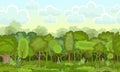 Dark forest. Illustration nature landscape. Grass, dense foliage. In summer. View of green shady trees and morning Royalty Free Stock Photo