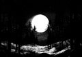 Dark forest landscape with full moon in retro dotwork style. Mysterious night landscape in vintage style.