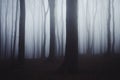 Dark forest night with blue fog Royalty Free Stock Photo