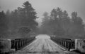 Dark forest over Corry Lake Bridge, chalk river in black