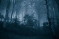 Dark forest panorama fantasy landscape in the park of Monte Cucco, Umbria Royalty Free Stock Photo