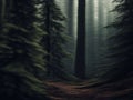 Dark Forest Realm: Hyperdetailed HDR Photography