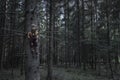 Dark forest and a scarecrow in a dried tree