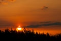 Dark forest silhouette with beautiful summer sunset and contrails