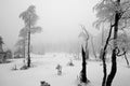 Dark Forest in Winter Landscape (black & white) Royalty Free Stock Photo