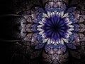 Dark fractal flower, digital artwork Royalty Free Stock Photo