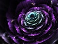 Dark fractal flower
