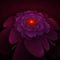 Dark fractal flower, digital artwork for creative graphic design. Royalty Free Stock Photo