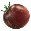 Dark Galaxy heirloom tomato, anthocyan-rich bicolor,  isolated Royalty Free Stock Photo