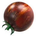 Dark Galaxy heirloom tomato, anthocyan-rich bicolor,  isolated Royalty Free Stock Photo