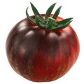 Dark Galaxy heirloom tomato, anthocyan-rich bicolor,  isolated Royalty Free Stock Photo