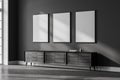 Dark gallery room interior with sideboard, three white empty posters