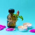 Dark glass bottle with black cap on light blue background with pink dog rose bud, petals and candles. Anti-ageing moisturizing ing Royalty Free Stock Photo