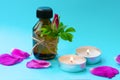 Dark glass bottle with black cap on light blue  background with pink dog rose bud, petals and candles. Royalty Free Stock Photo