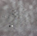 Dark glitter vintage lights background. light silver and black. defocused Royalty Free Stock Photo