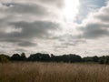 Dark and gloomy dawn in a field Royalty Free Stock Photo