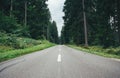 Dark gloomy forest road Royalty Free Stock Photo