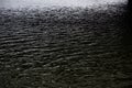 Dark gloomy monochrome surface of the water Royalty Free Stock Photo