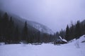 Dark gloomy scary mountain winter landscape with coniferous for