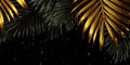 Dark Gold palm leaves and droplet Water dramatic photo effect background, realism, realistic, hyper realistic