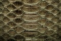 Dark gold python leather, skin texture for background. Royalty Free Stock Photo