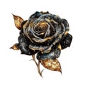 Dark Gothic Rose with Gold Shimmer Dark Fantasy Gardening Watercolor Clipart