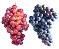 Dark grapes and red grapes isolated on white background