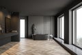 Dark gray bathroom with tub and sink, front view