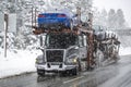 Dark gray car hauler big rig semi truck tractor transporting cars on modular semi trailer driving slowly and carefully on a snowy Royalty Free Stock Photo