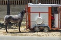 A dark gray horse leaves the horse trailer or enters the horse trailer