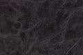 Dark gray leather texture background, closeup. Black cracked backdrop from wrinkle skin Royalty Free Stock Photo